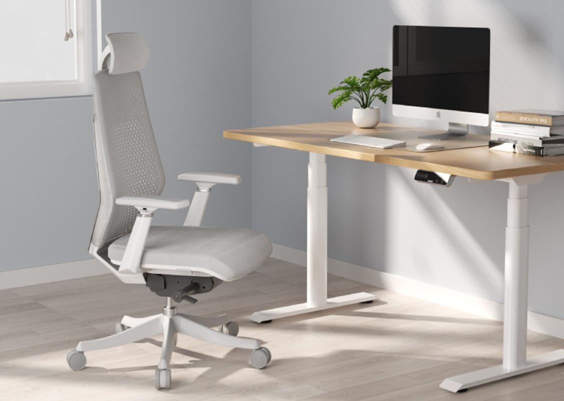 Aesthetics and Functionality Exploring FlexiSpot's Ergonomic Chairs